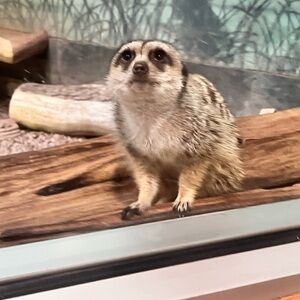 Bundle to save ❤️❤️